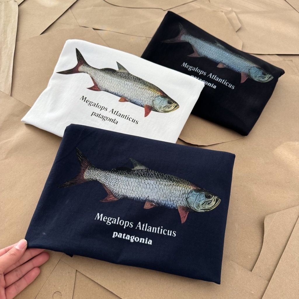 image_1A1D5F07-4332-4F01-A42C-5EDDABC9B7CC_1774167994