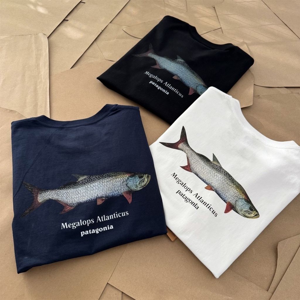 image_2CCE08EA-563F-4E4B-A7B2-F0BD28B8F865_1774167994