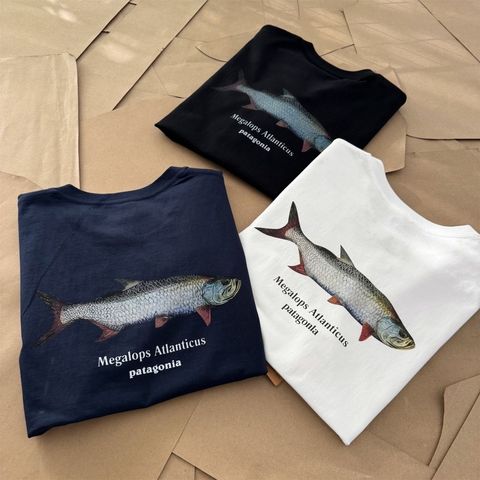 image_2CCE08EA-563F-4E4B-A7B2-F0BD28B8F865_1774167994