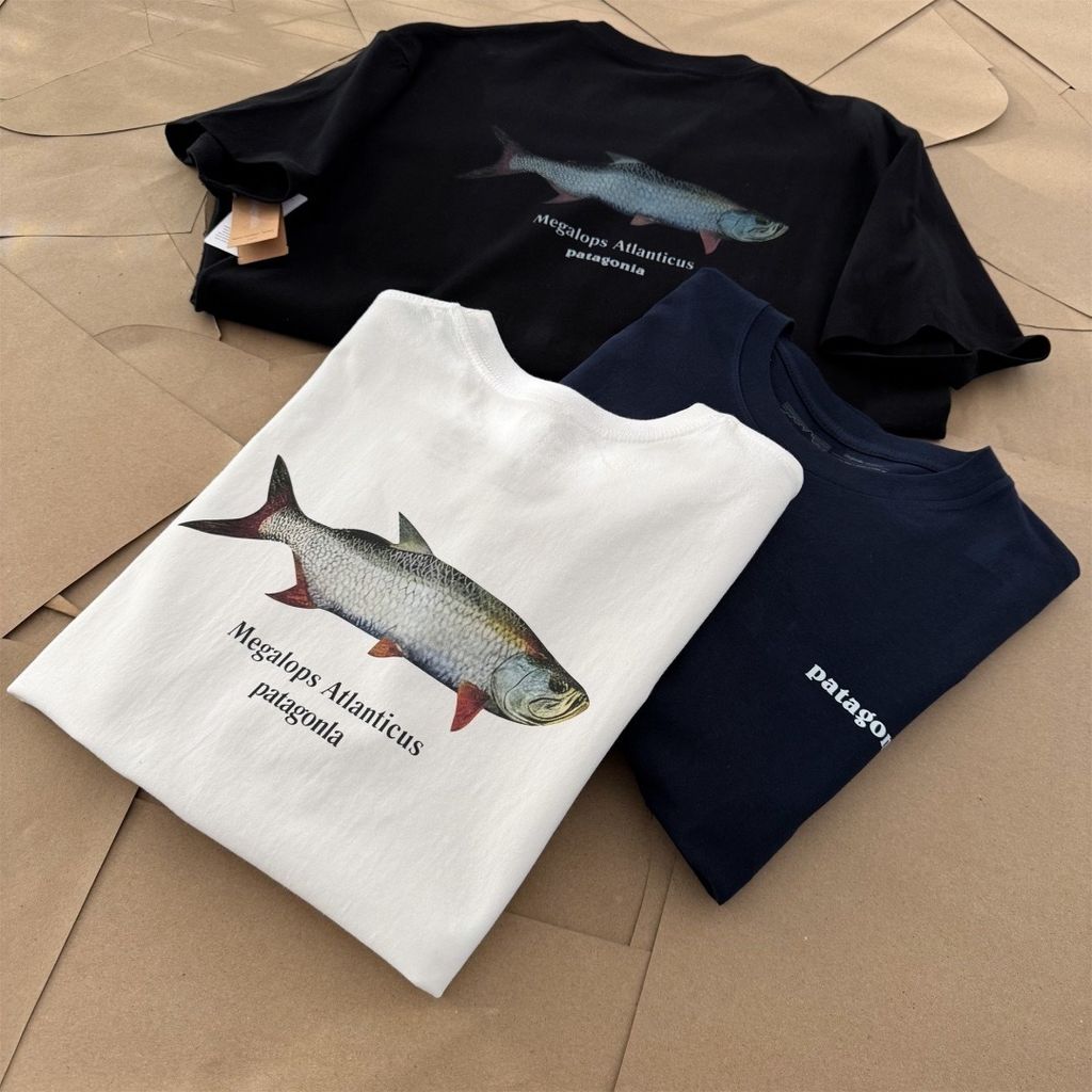 image_04099C96-0283-4CD3-A257-50A1A64D756D_1774167994