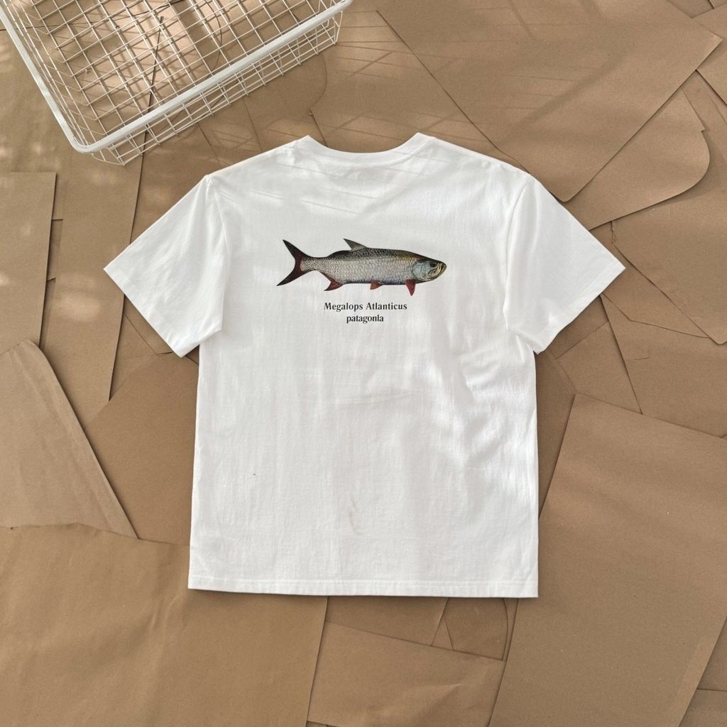 image_817538B6-4FC2-42FD-8C25-33900C066647_1774167994