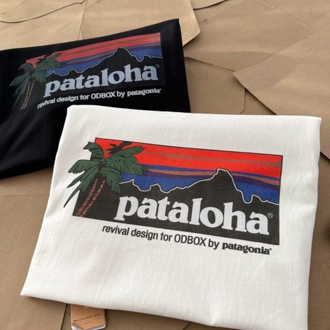 image_BF02CD47-417D-4541-B639-6D5A899E7536_1774250147