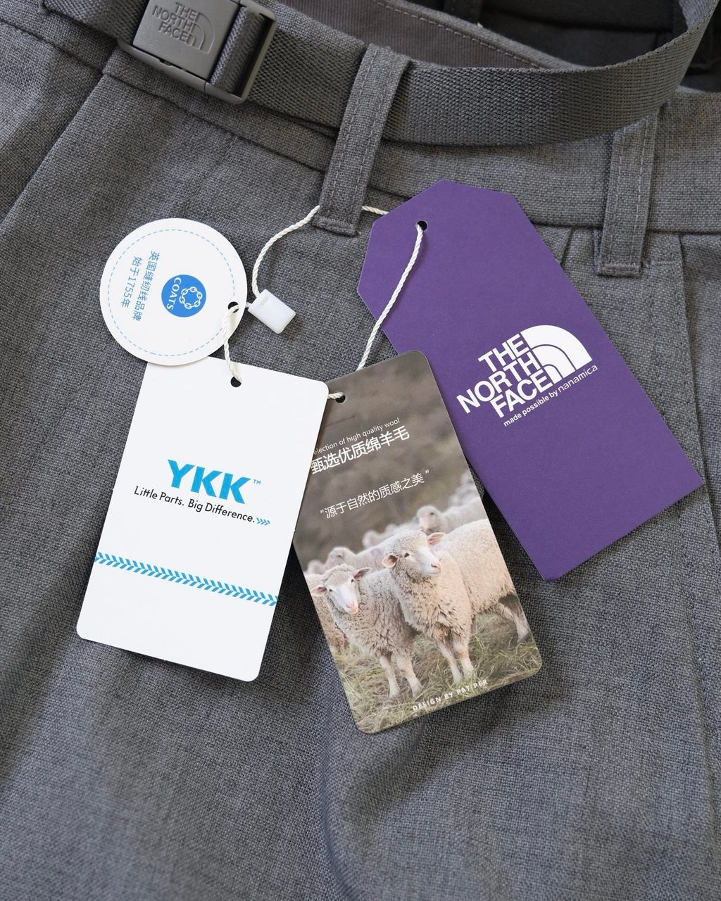 image_FB7DC9E3-9CC7-4A14-A60E-FDC10A2E2E1E_1774250539