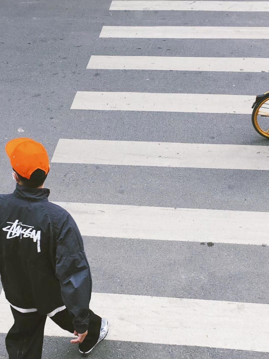 image_854B0381-DBFF-44D4-AEEA-27A658BD8765_1774509876