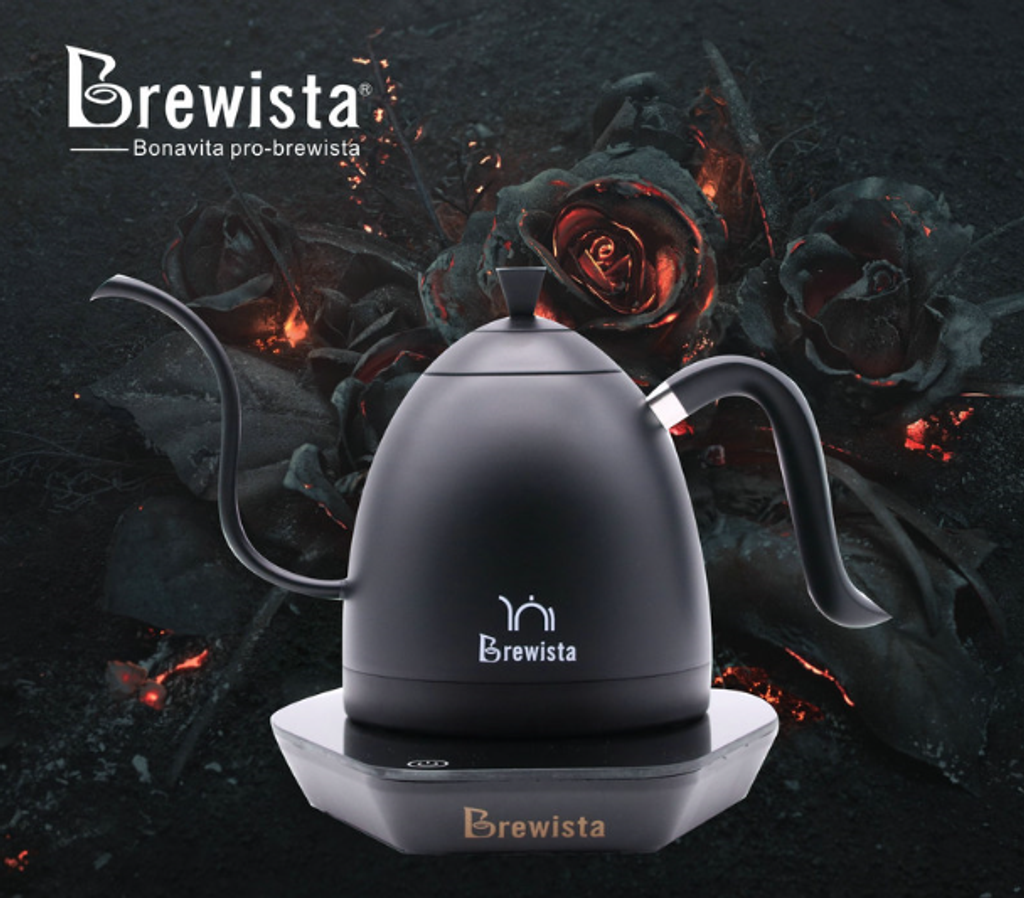 Brewista 0.6L細長嘴不銹鋼溫控壺-全黑.png