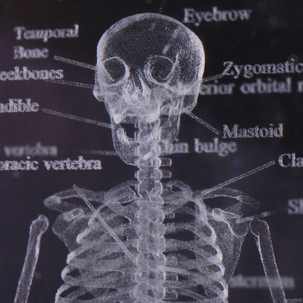 透視人體骨骼水晶紙鎮-3