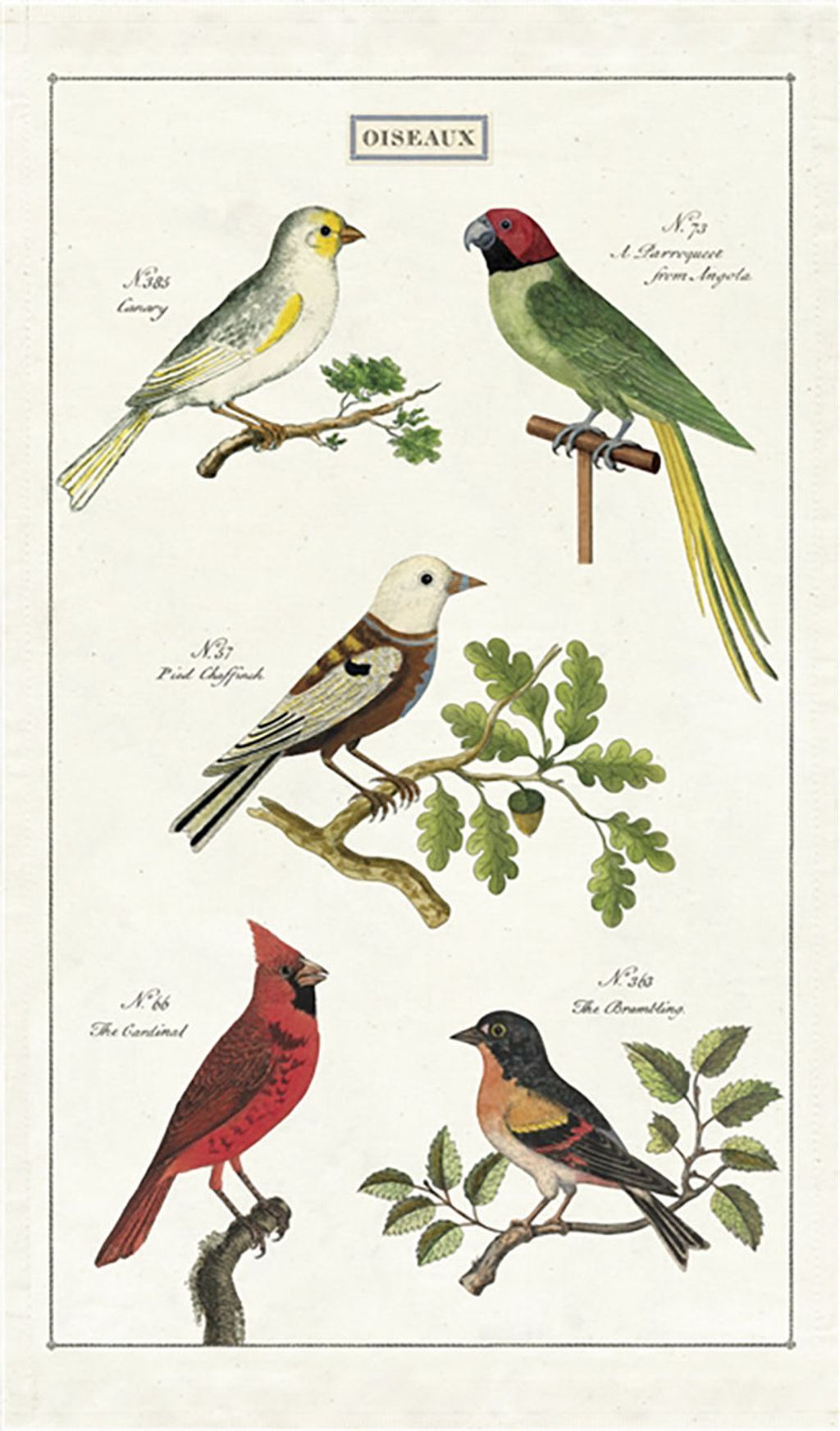 鳥兒們 (3)