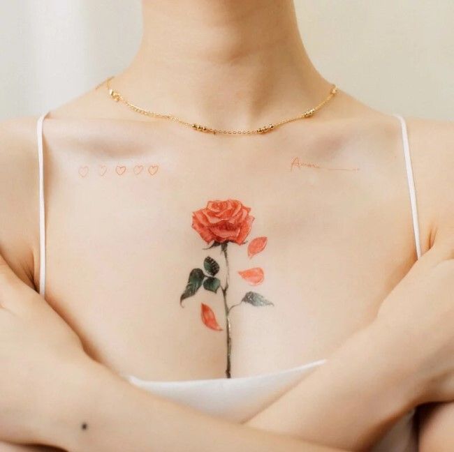 3036_古典玫瑰 English Rose-2