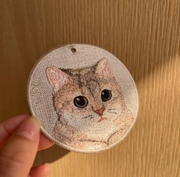 藍金漸層英國短毛貓