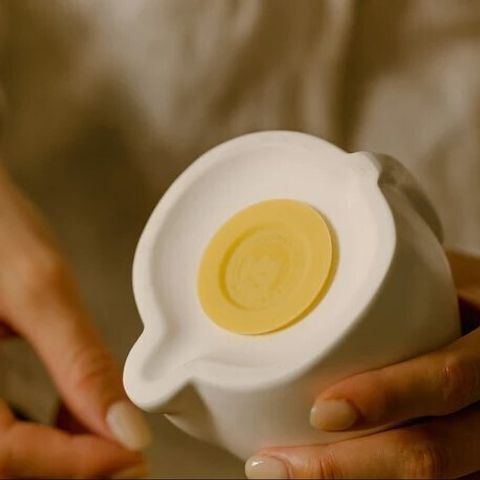 胖貓撲滿2