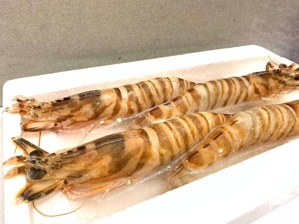 大明蝦 佑魚水產Yoyuseafood