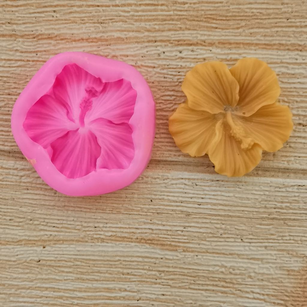 扶桑花