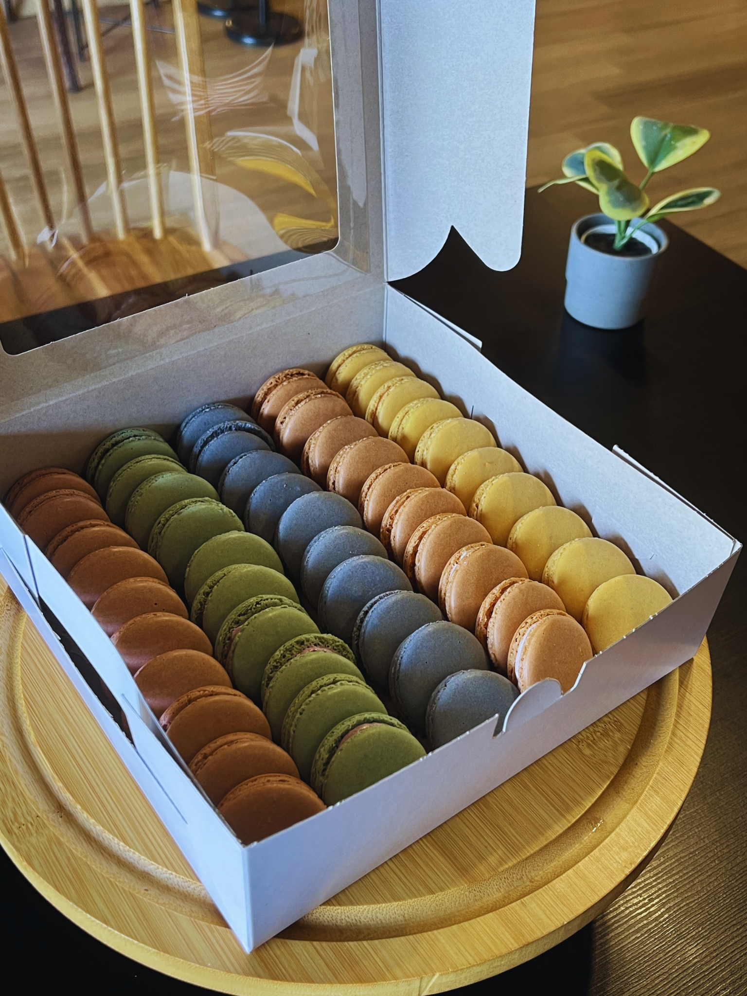 20260330_162940_0000