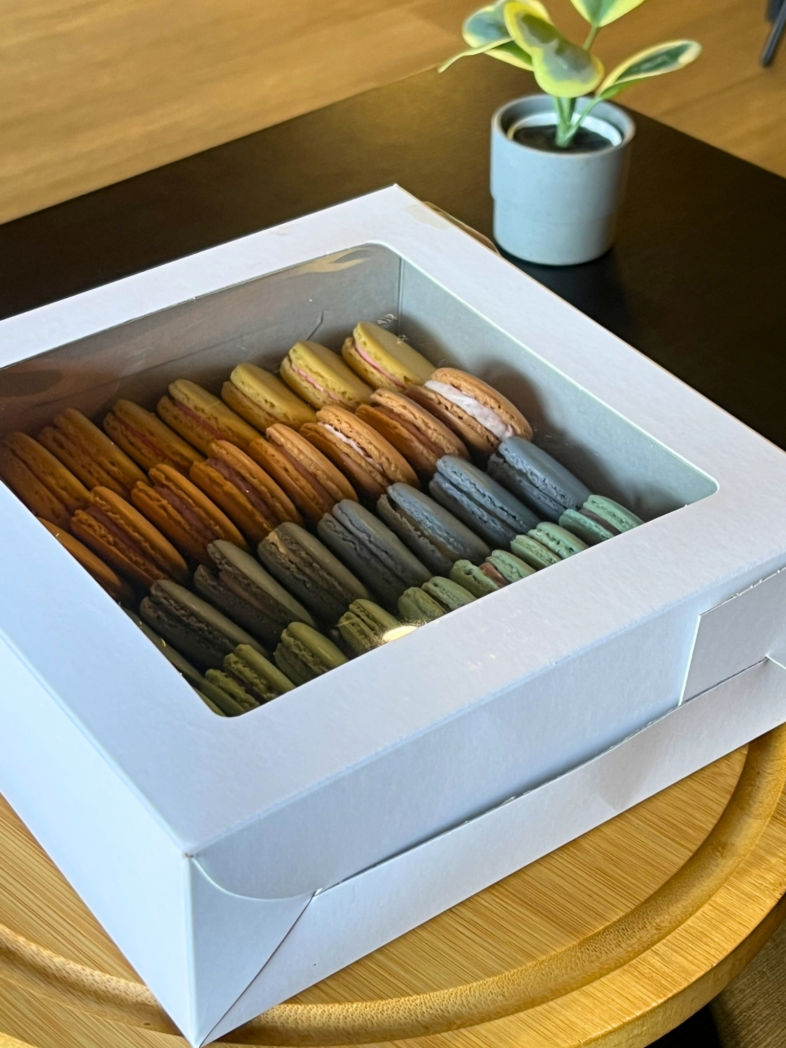 20260330_162940_0002