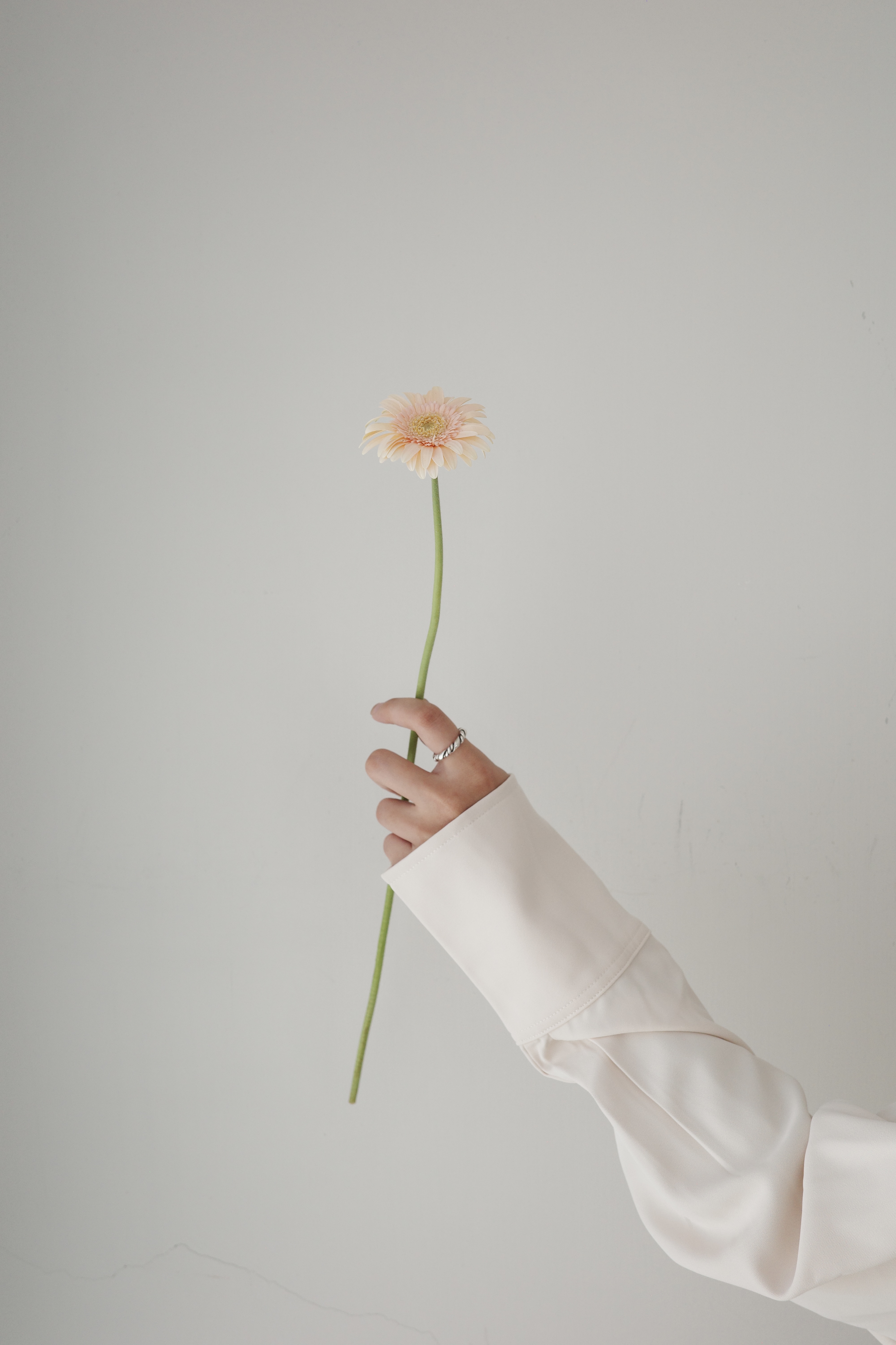  | VVV.LAND 浪島飾物