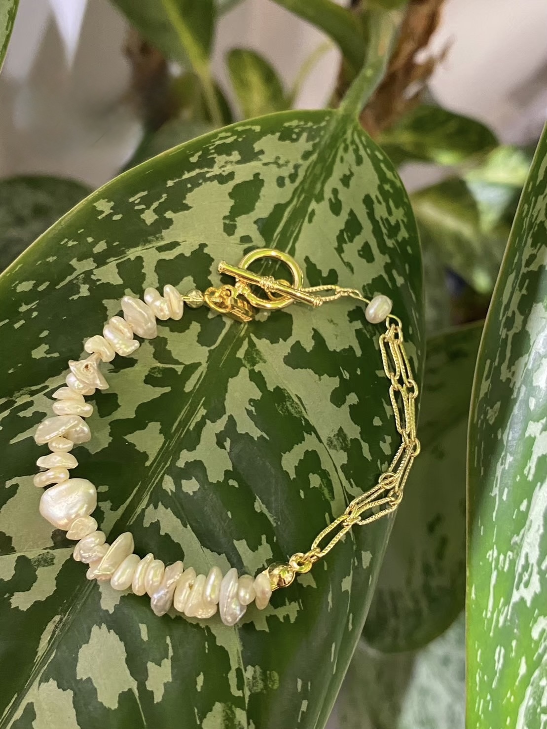 image_167CDFA2-1127-47CC-85E1-C46C7E49A41E_1773806212