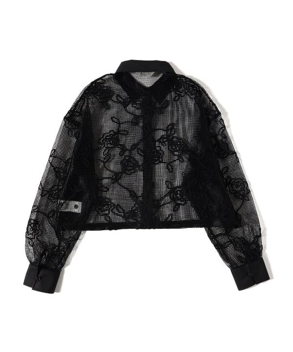 image_8138A1CC-8521-4C82-A6CC-EE2F633A9070_1776153840