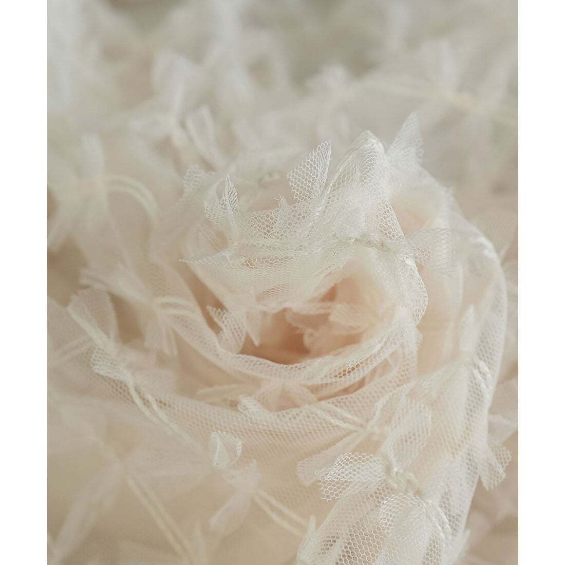 image_343481B3-ABE1-4099-BCD9-7FF13B33F216_1776250560