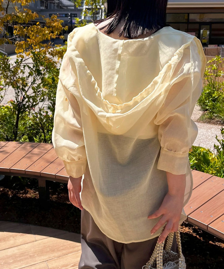 image_A7425958-225C-4DE0-8210-CB0E85EF601F_1784195845