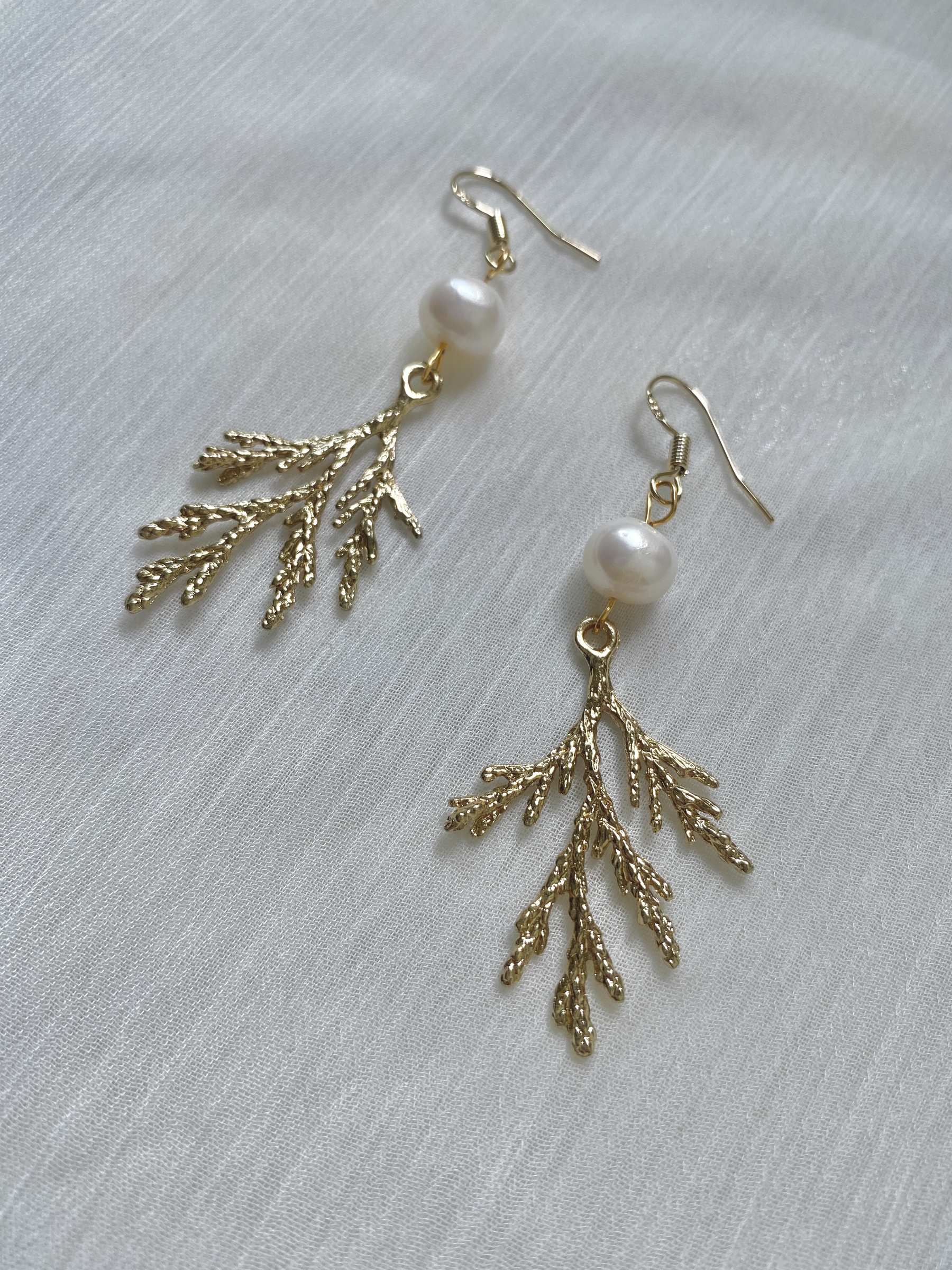 相片 2021-7-1 15 45 38.jpg