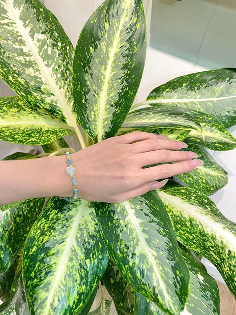 E4C3C1D1-65A8-4DA1-BE07-42342364C569