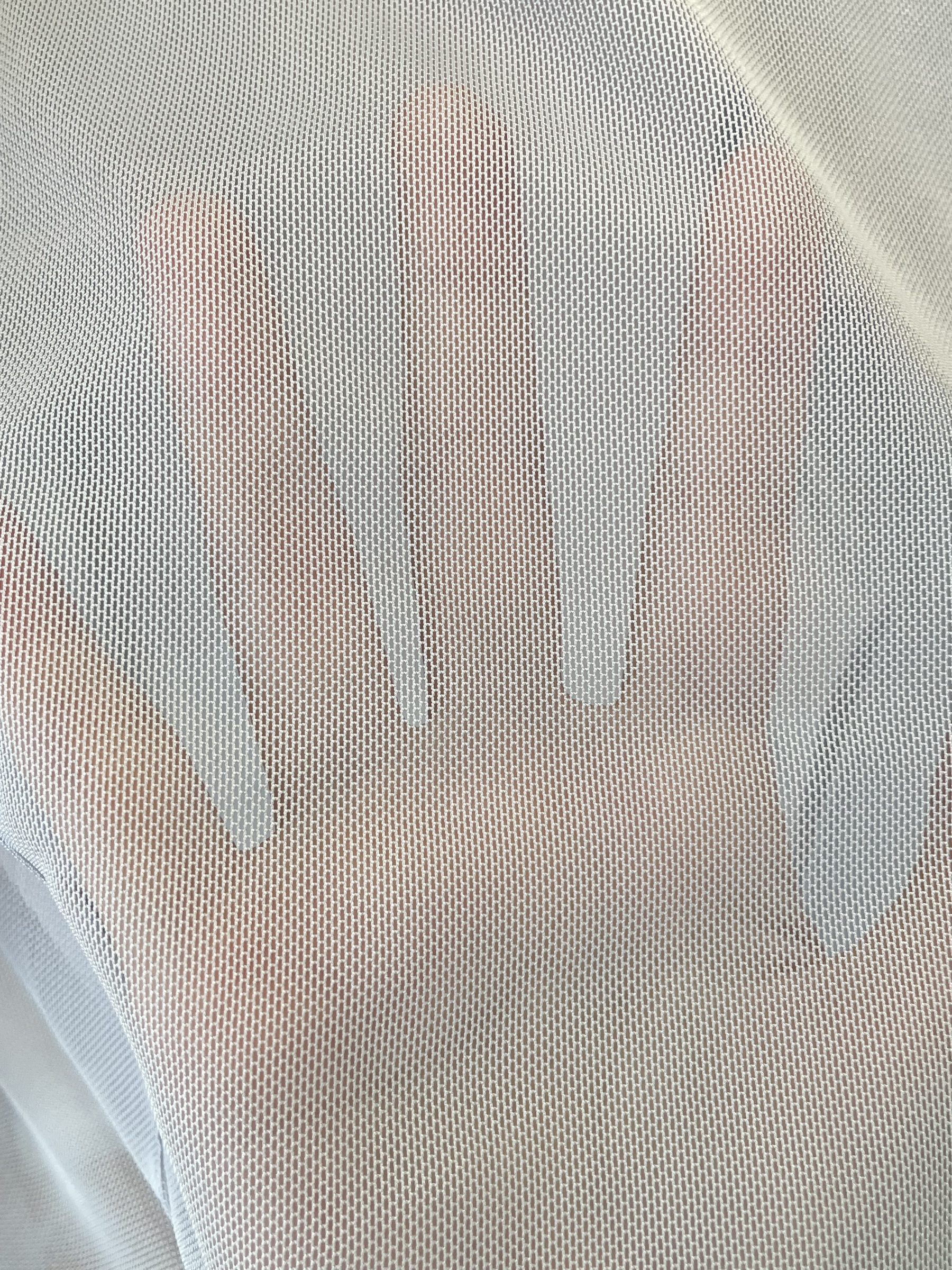 IMG_4571-1720774718811