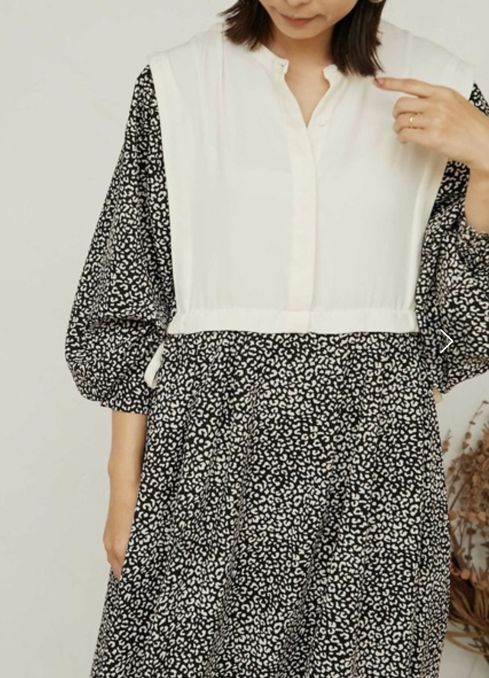 IMG_8708-1729577098405