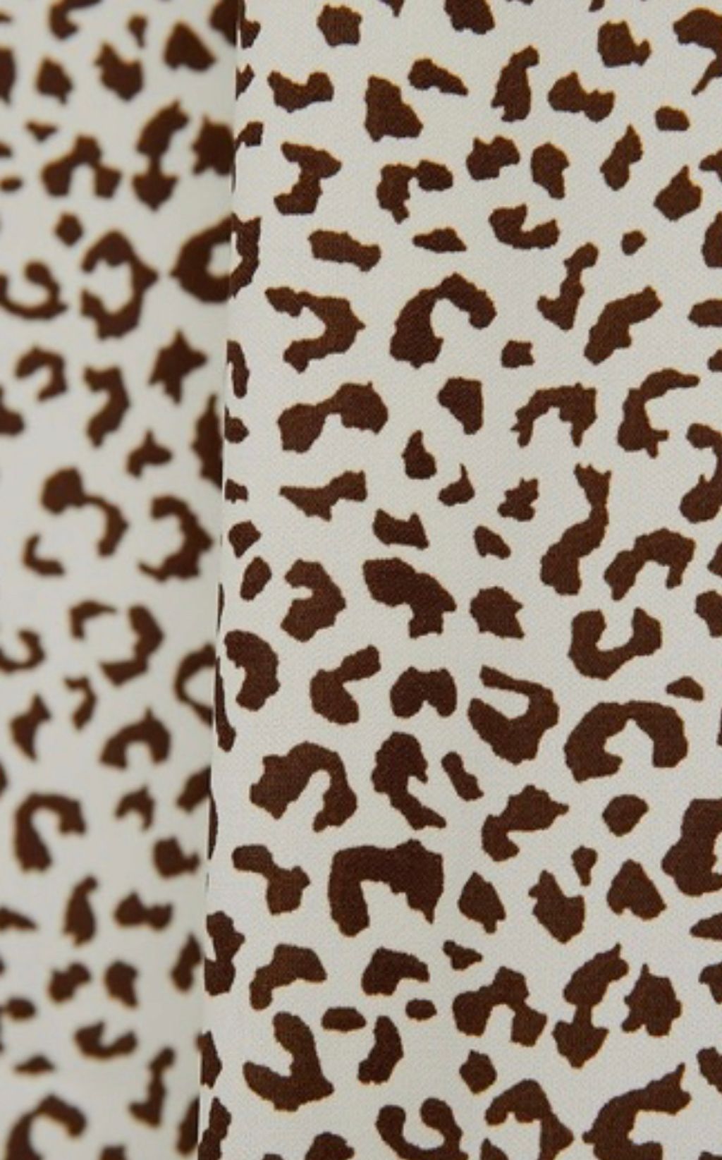 IMG_8717-1729577098499