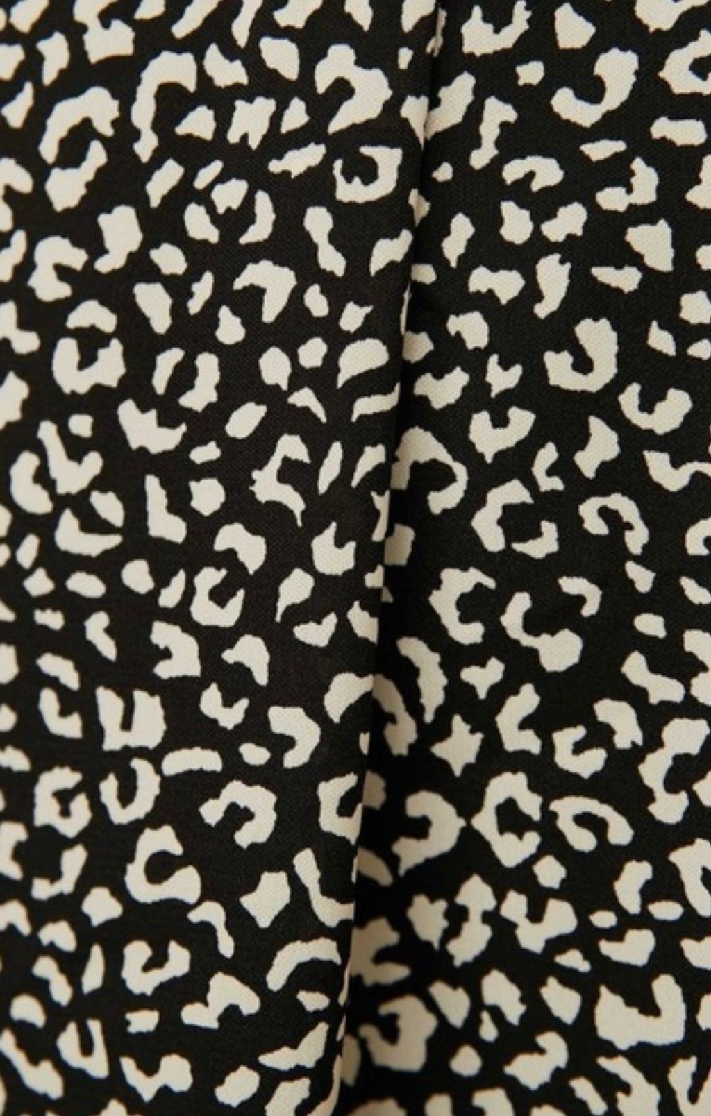 IMG_8719-1729577326128