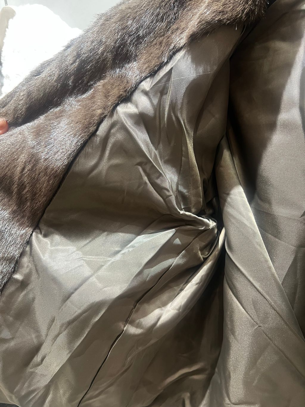 IMG_5137-1734262536262