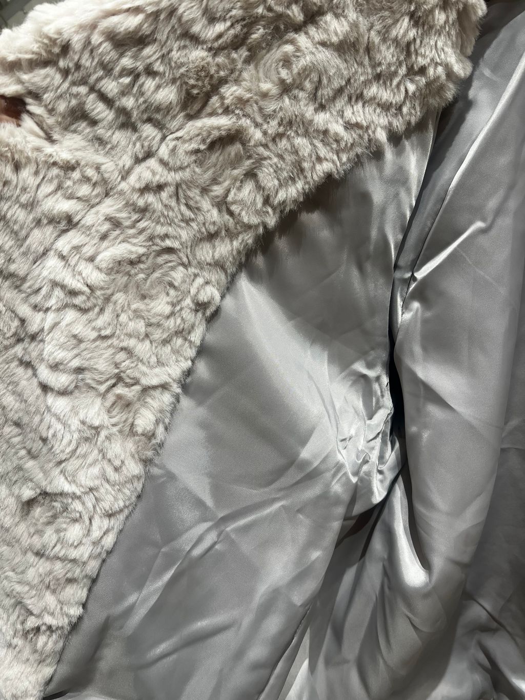 IMG_5139-1734262534883