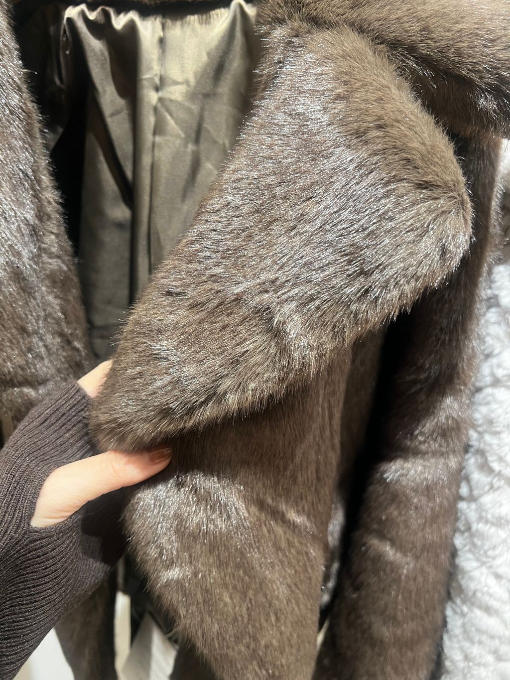 IMG_5129-1734262535374