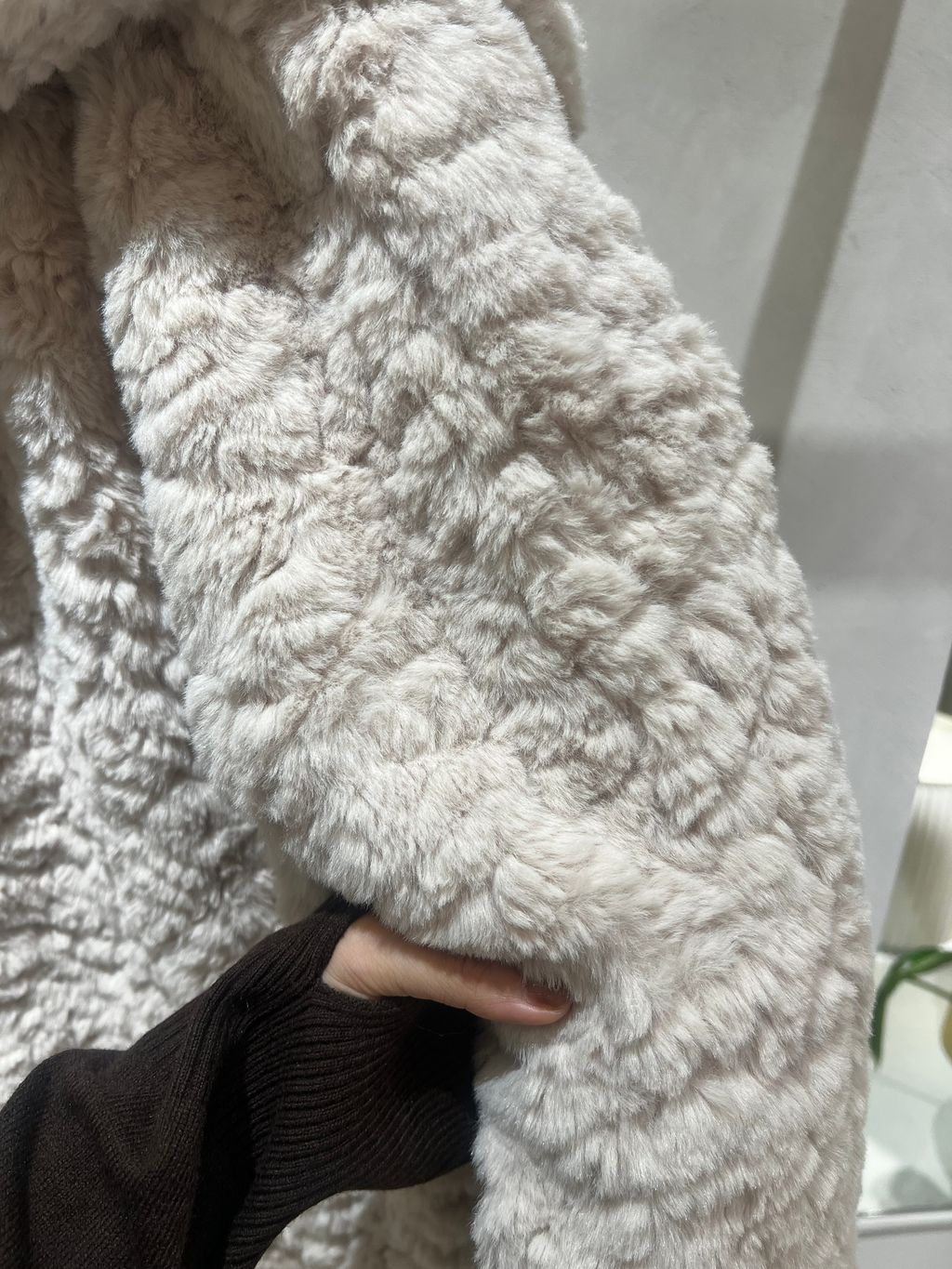 IMG_5130-1734262534751