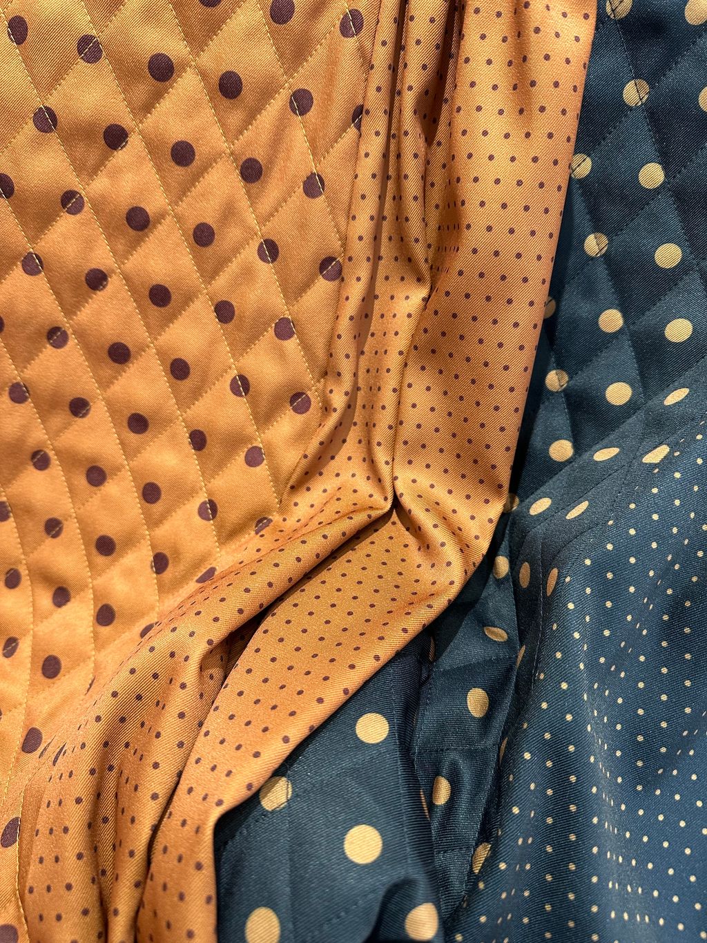 IMG_1628-1736054674122