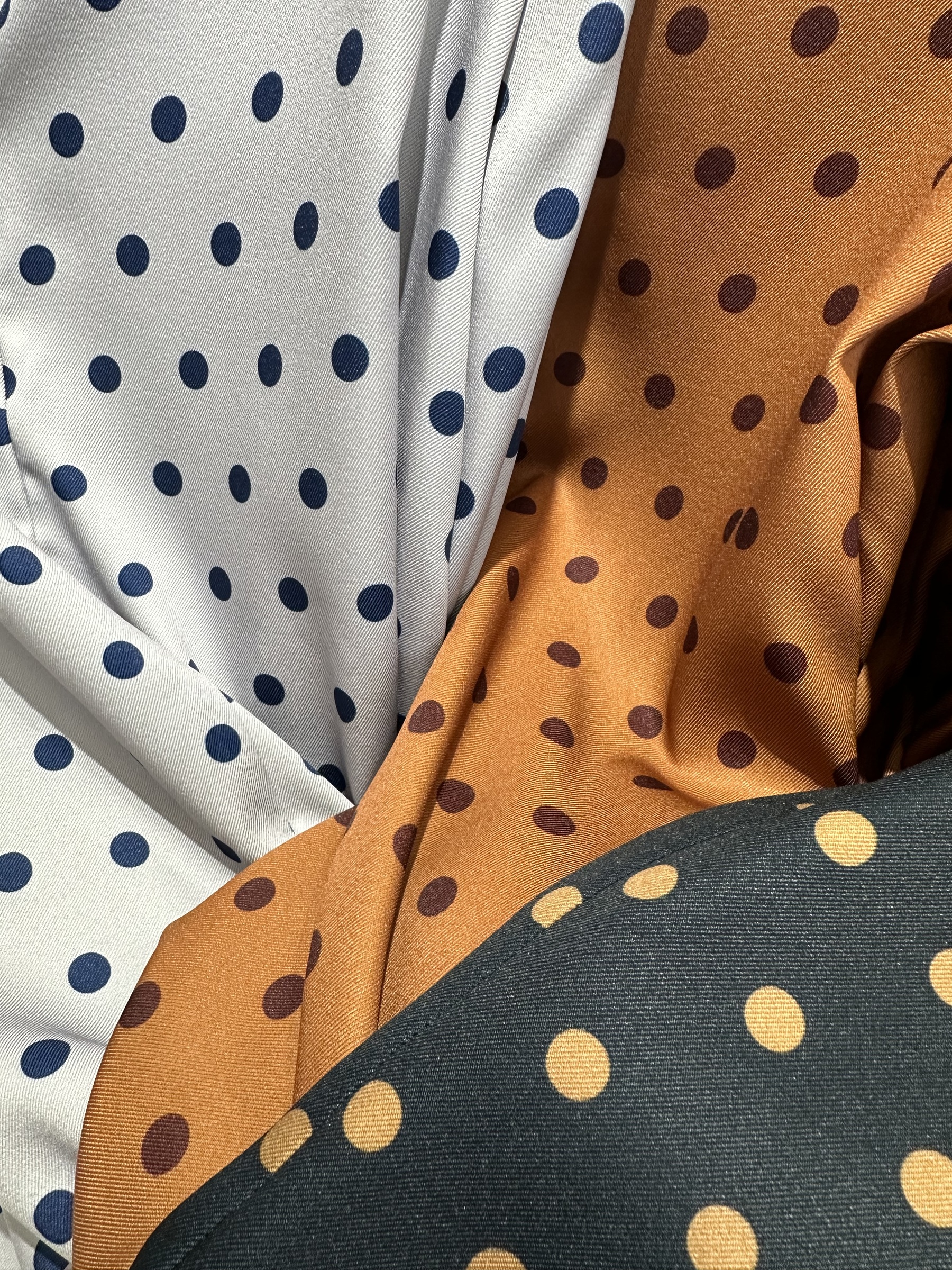 IMG_1633-1736075759967