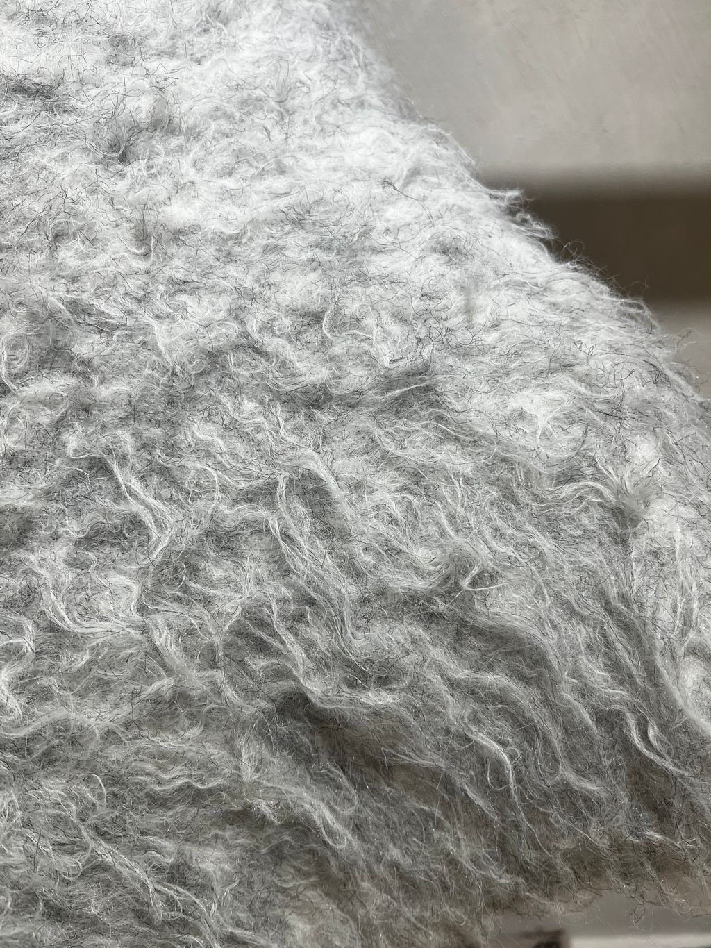 IMG_8063-1737552706727