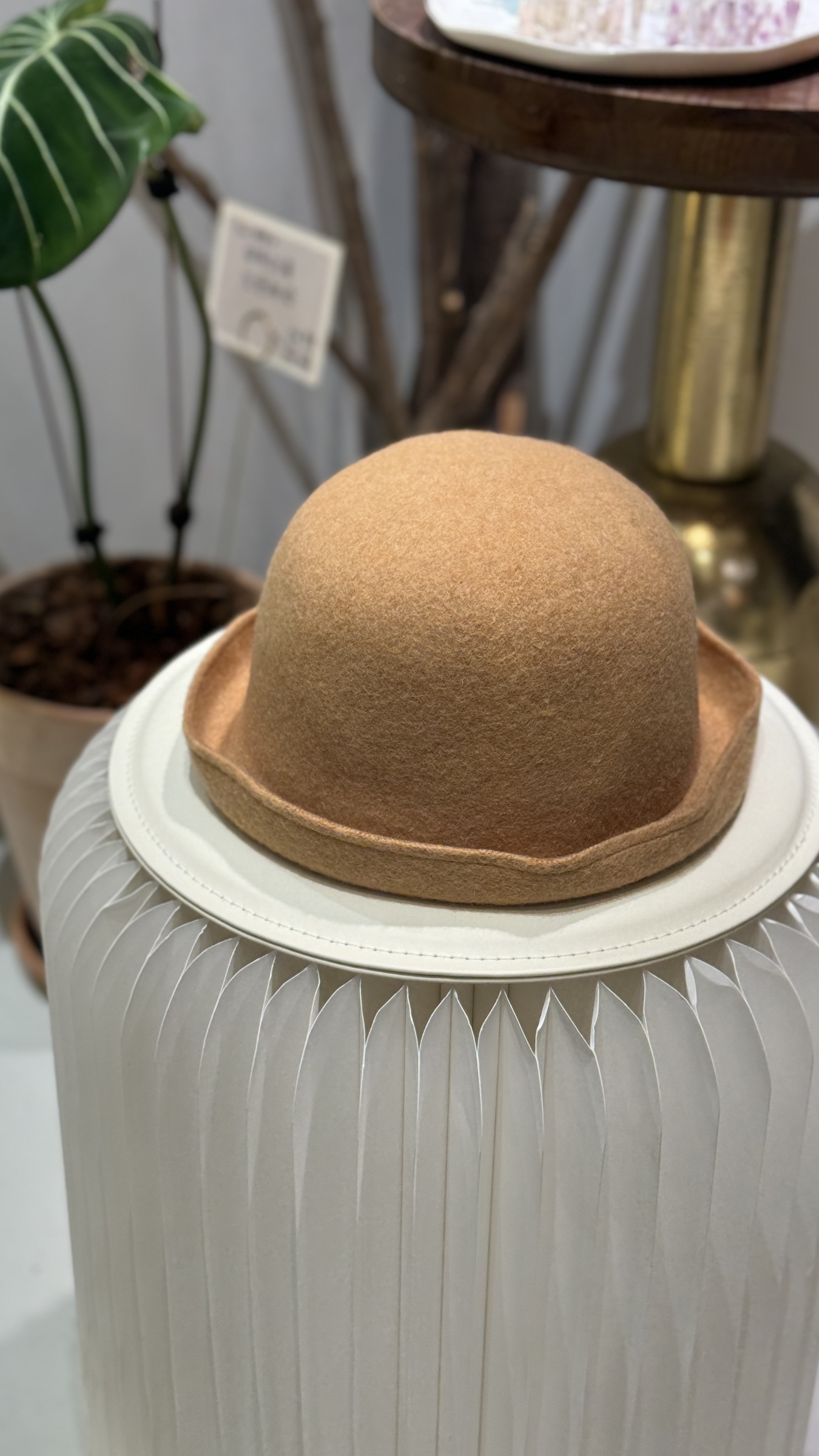 IMG_7362-1739269978347