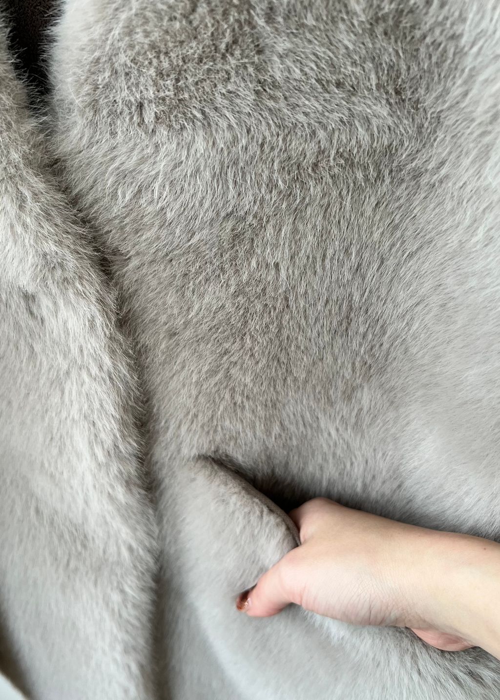 IMG_6561-1740484302443