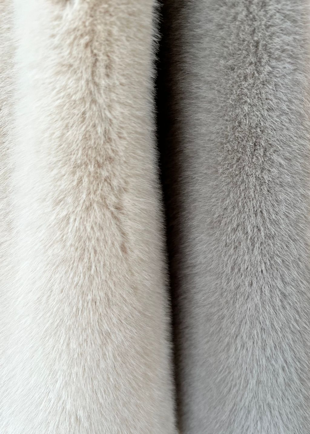 IMG_6564-1740484302883