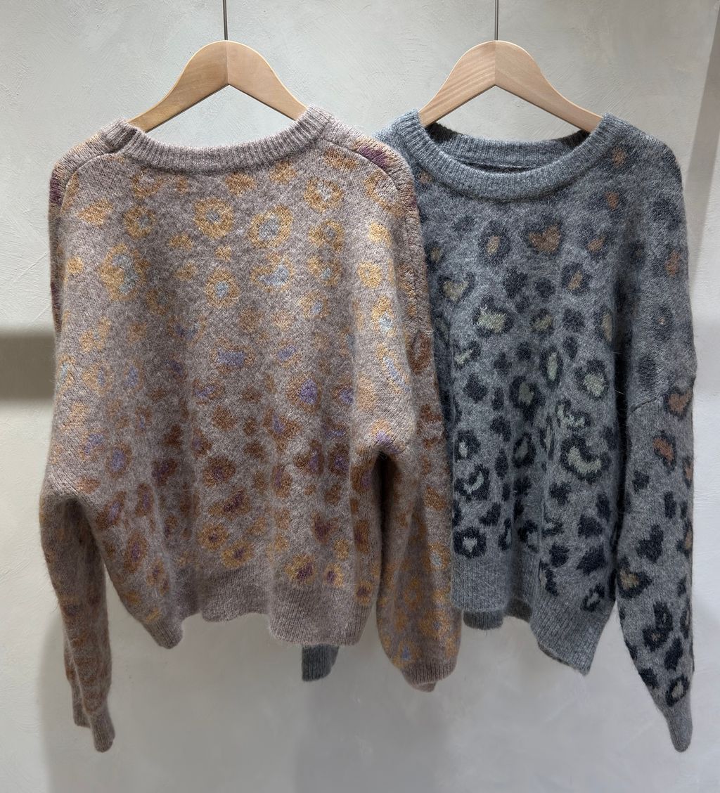 image_DDE4807F-4AB0-400C-972F-3811E8FA5D82_1765519194