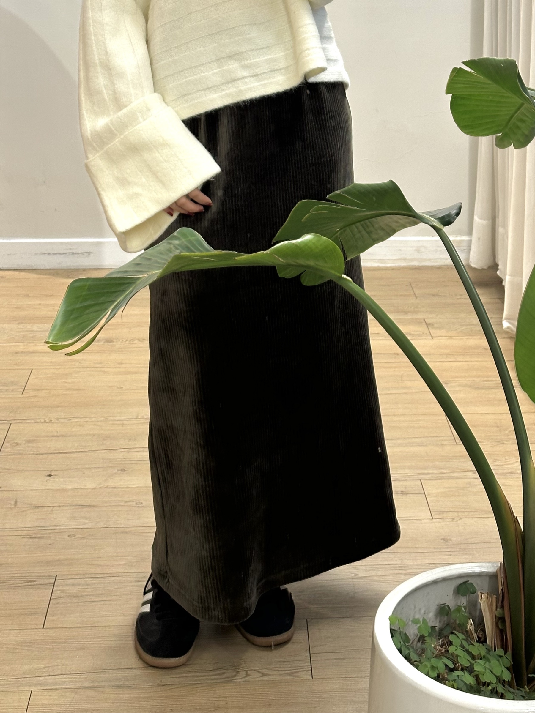 image_2C0ECD0B-F73A-43F0-9473-A00FDBB7C8E2_1765530096