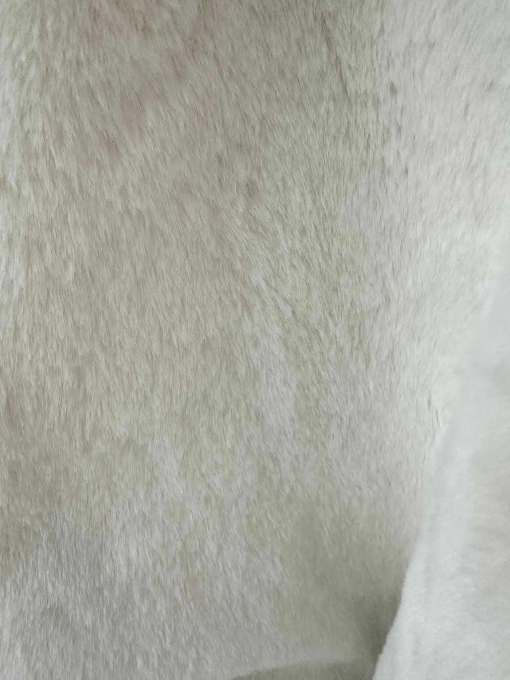 image_DDBFD4FA-798B-418C-9DA3-1C9C2A1EB54F_1765603755