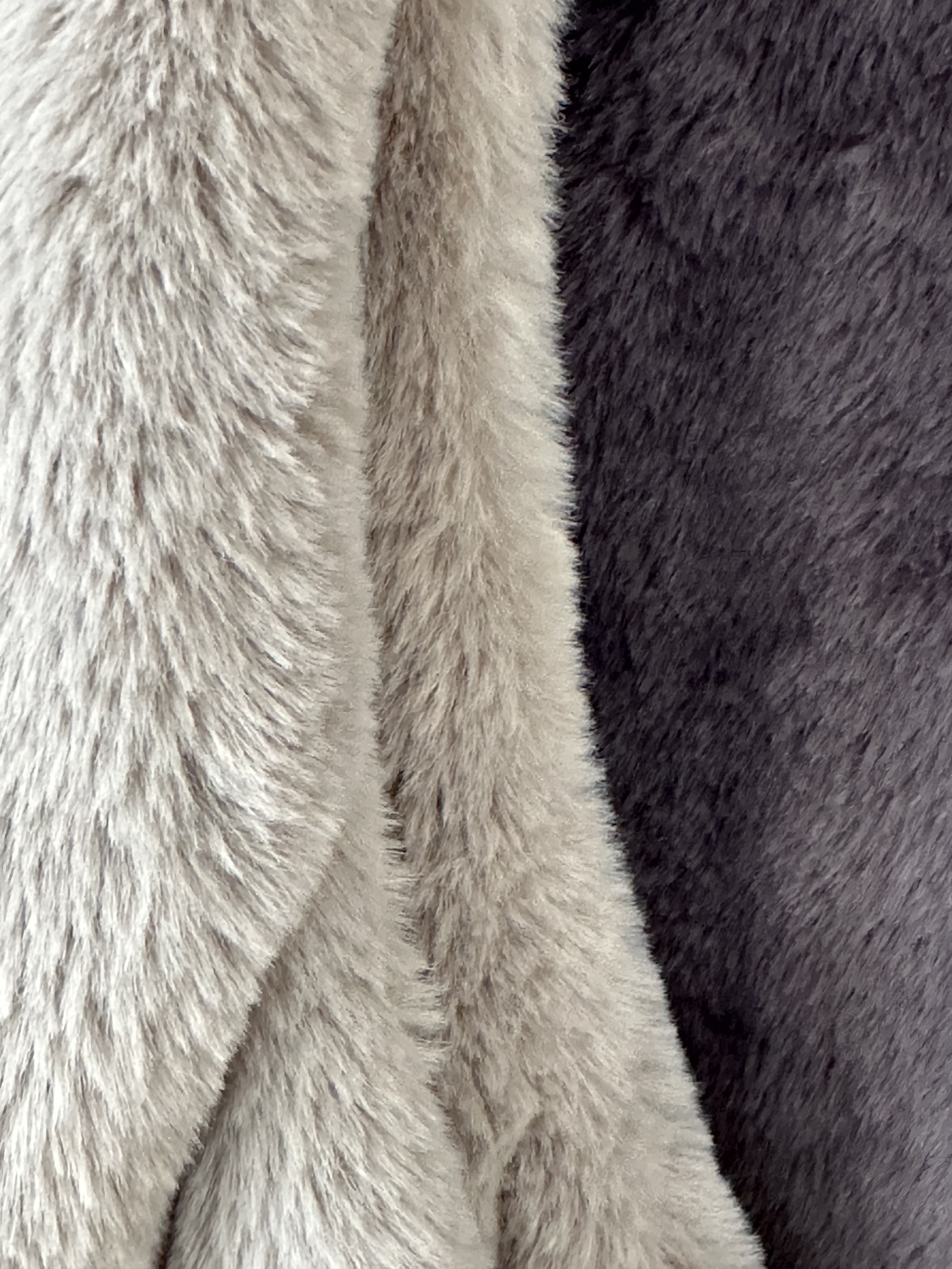 image_DF6EF1E6-CEE1-4DD5-B8A7-C07F46F246DC_1765690286