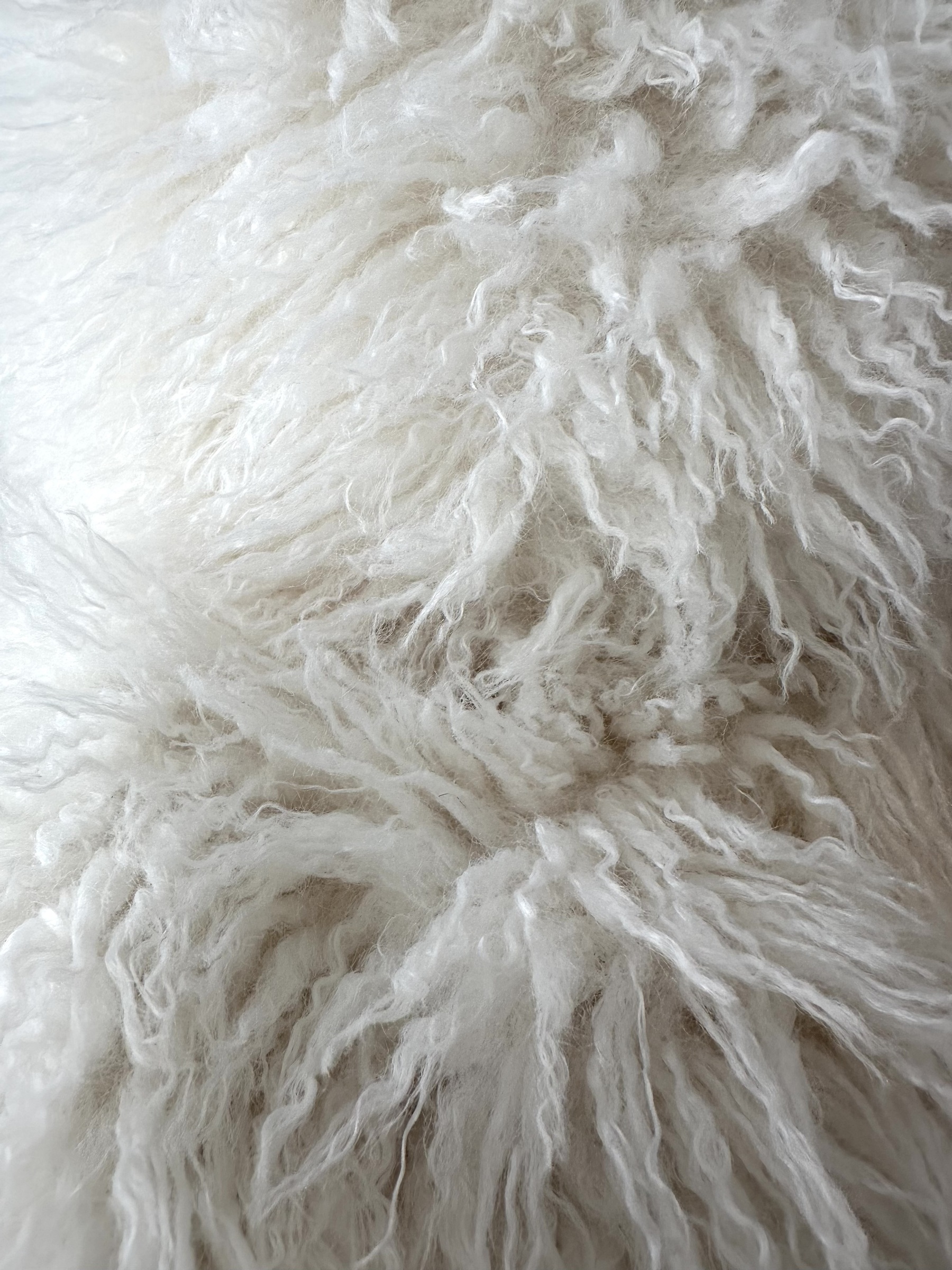 image_3D63B37B-667B-4E70-80CC-B731C589B7F5_1765691689