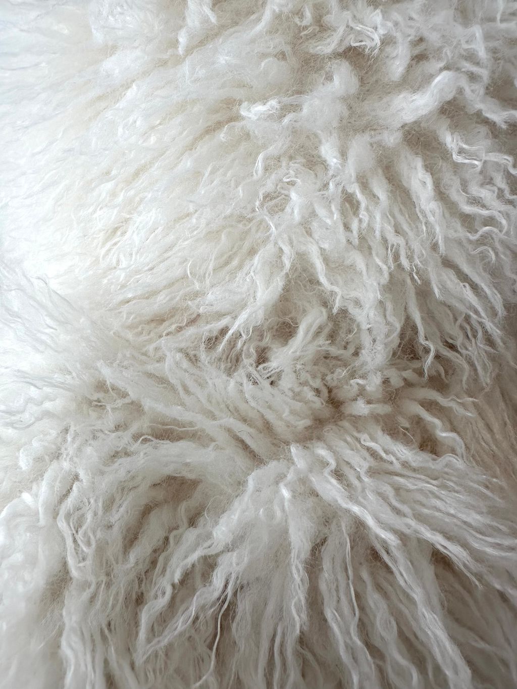 image_3D63B37B-667B-4E70-80CC-B731C589B7F5_1765691689