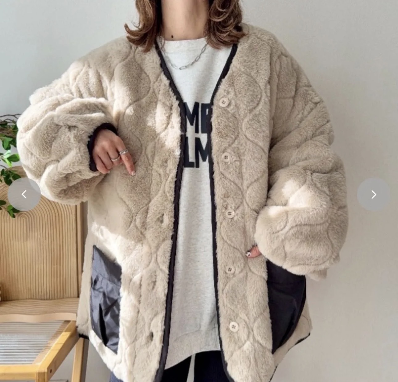 image_2776C027-04BF-4C3D-B3C8-35E2247E71CD_1767017680