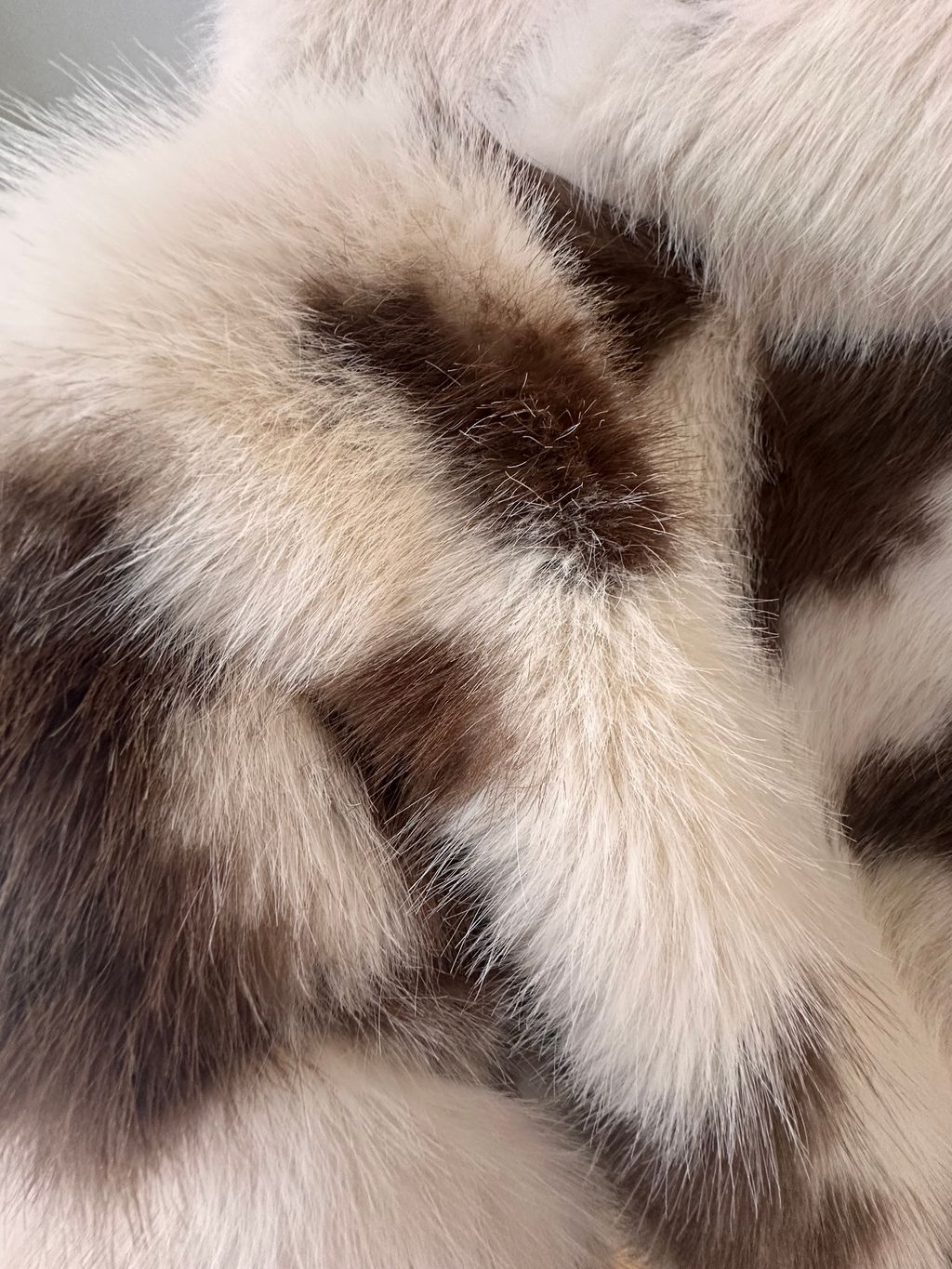 image_A03CEE4E-D645-40AD-9CF6-F604881823E5_1767158742