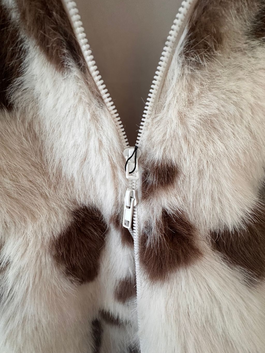 image_37E91C52-947B-43DB-A84D-5700AFB3BF9C_1767158742