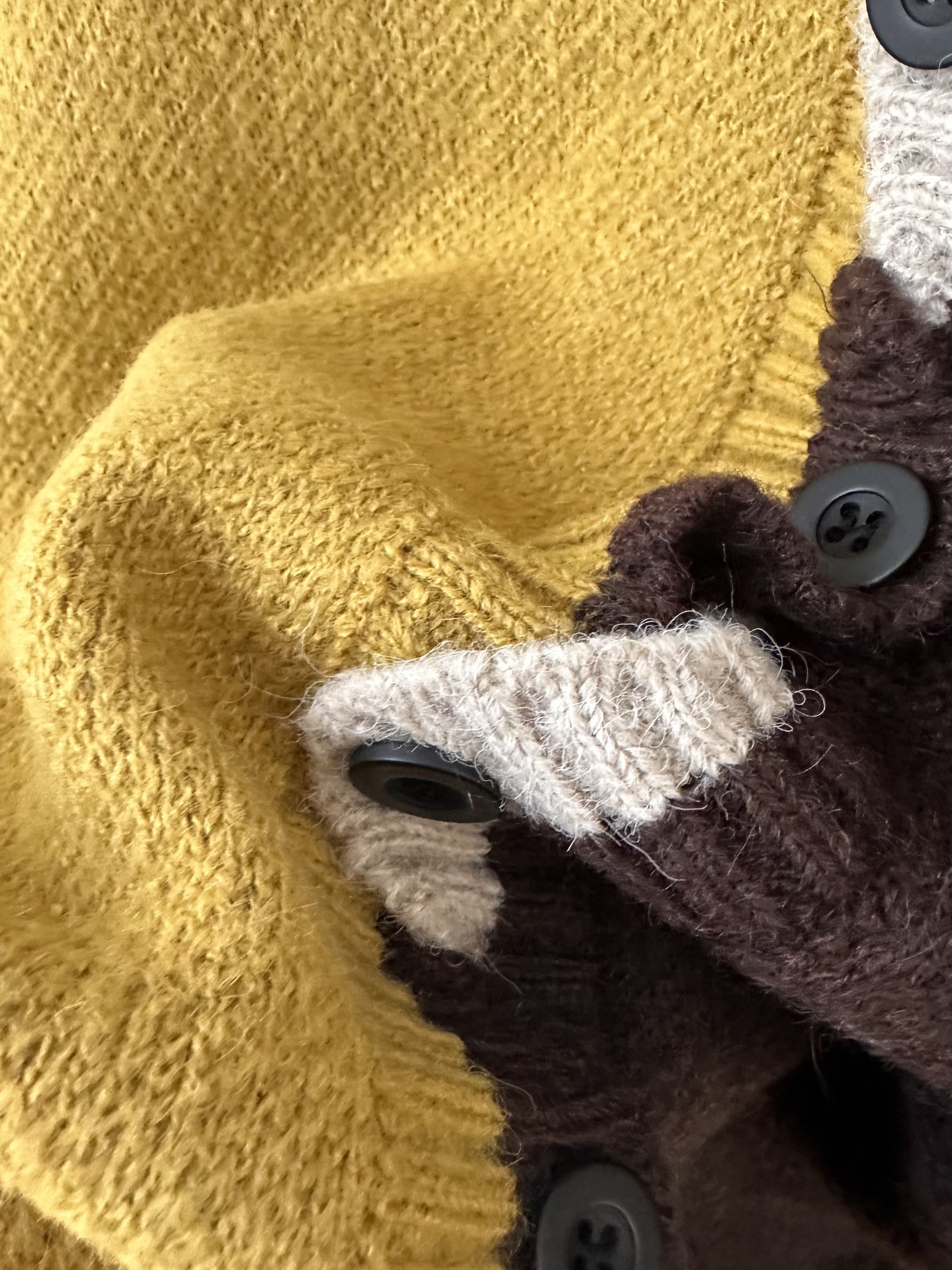 image_33E3354D-D582-4F2C-9CB1-F8F1586F6AE9_1767159053