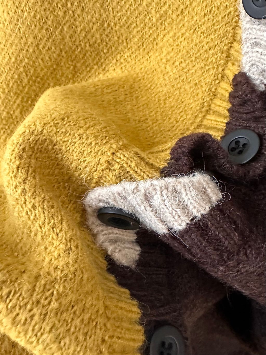 image_33E3354D-D582-4F2C-9CB1-F8F1586F6AE9_1767159053